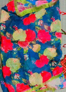 Multicolored Organza Dupatta