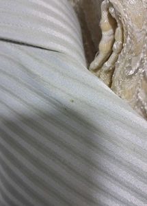 Striped Formal Shirt