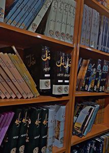 Fictional Novel