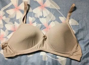 Very Comfortable Beige Bra