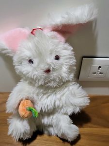 Puppet  Rabbit Eating Carrot