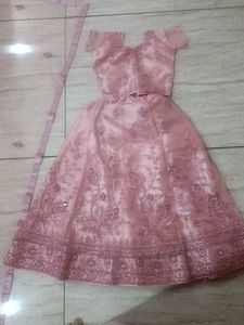 Pink Embellished Skirt