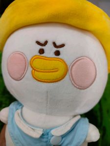 Free Delivery Korean DUCK