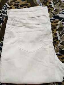 Branded Trouser