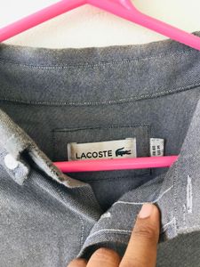 MEN SHIRT LACOSTE ⭐️GREY