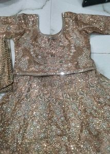 Gorgeous Lehenga Choli