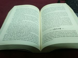 The Oath Of Vayuputras