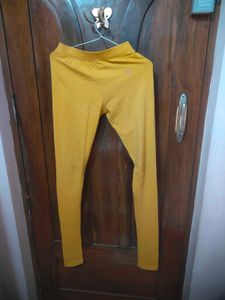 Mustard Leggings – Stretchy &amp; Stylish