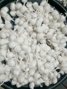 Cotton Wicks for Pooja