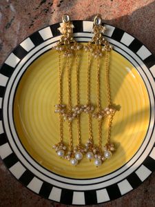 Elegant Dangle Earrings