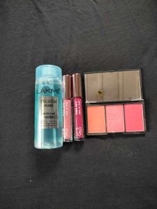 Makeup Essentials Lakme &amp; Sleek Blush Palette