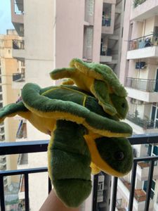 Two Octopus In One price