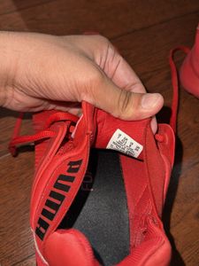 Puma Red Sport Shoes (UK7)