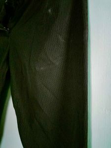 Pantaloons Formal Pants