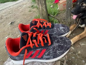 Adidas Sneakers