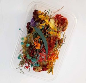 Original Dried Flowers For Candle Or Resin Art