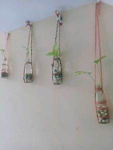 Hanging Glass Bottle Planter With Plant