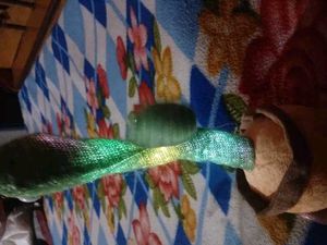 New Cactus 🌵🌵🌵🌵🌵 Toys Dancer