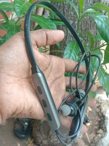 PTron Neckband (Type-C Fast Charging |