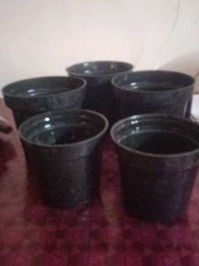 5 Plastic Pots- 3 Small 2 Very Smal