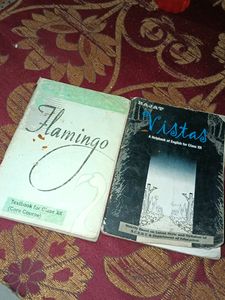 Class 12th , Flamingo And Vistas