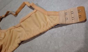 Everyday Sexy Bra