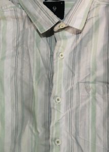 men formal shirt