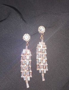 Elegant Dangle Earrings