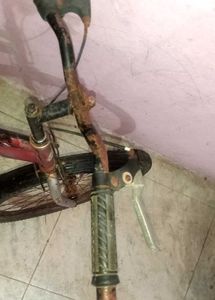 Cycle