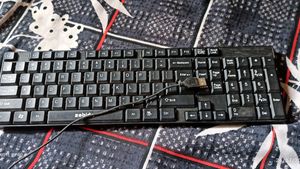 Zebion Keyboard Not Much Used