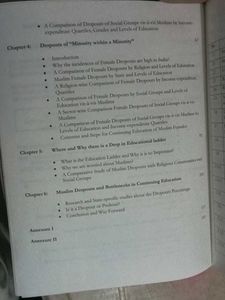 Status Of Muslim Dropouts_NEW_Quantity 01