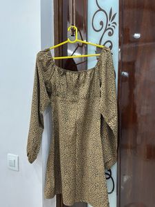 Leopard Print Mini Dress