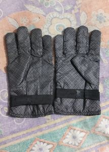 Gloves