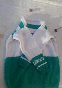 Green Sweater