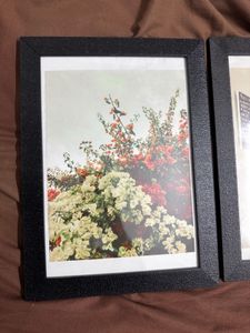 Pinterest Photo Frame Wall Decor