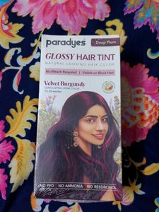 Paradyes Deep Plum Hair Tint💗