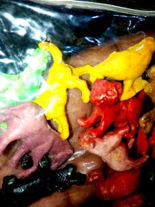 Farm Animals Toys