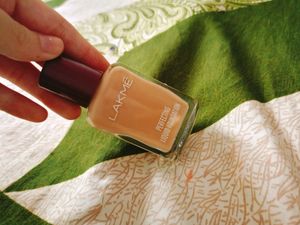 Lakme Foundation