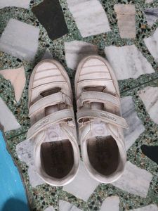 Campus White Sneakers - Size [Insert Siz