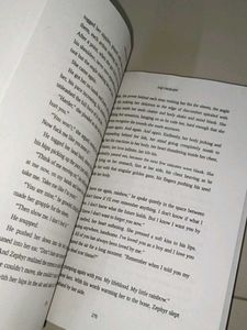 The Finisher - Dark Verse Book Four