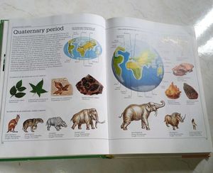 Visual Book Dictionary