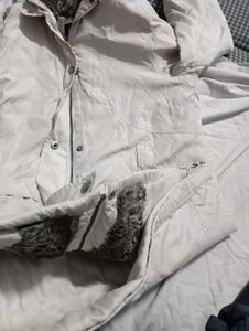 Beautiful Jacket For Winter