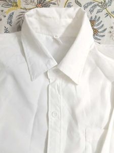 This Is an Amazing Shirt