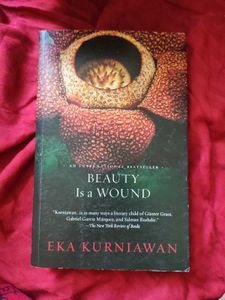 Beauty Is a Wound - Novel