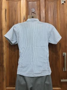Pinterest Striped Shirt