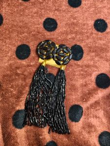 Black Tassel Earrings in Case