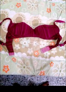 Imported Paded Bra For Donation