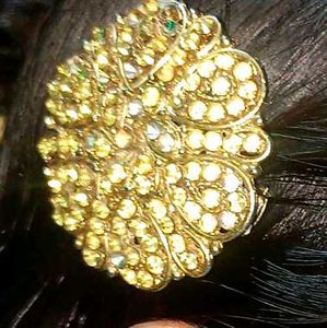 Hair Clip