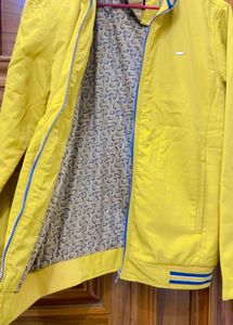 Yellow Jacket