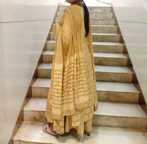 Elegant Centre Cut Mastani Dress